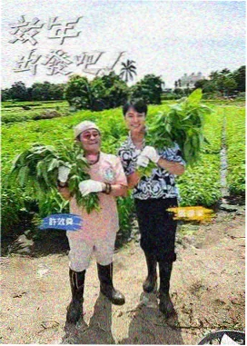 综艺口碑趋势分析配图